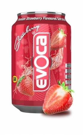 Evoca Strawberry 330x24 Cans